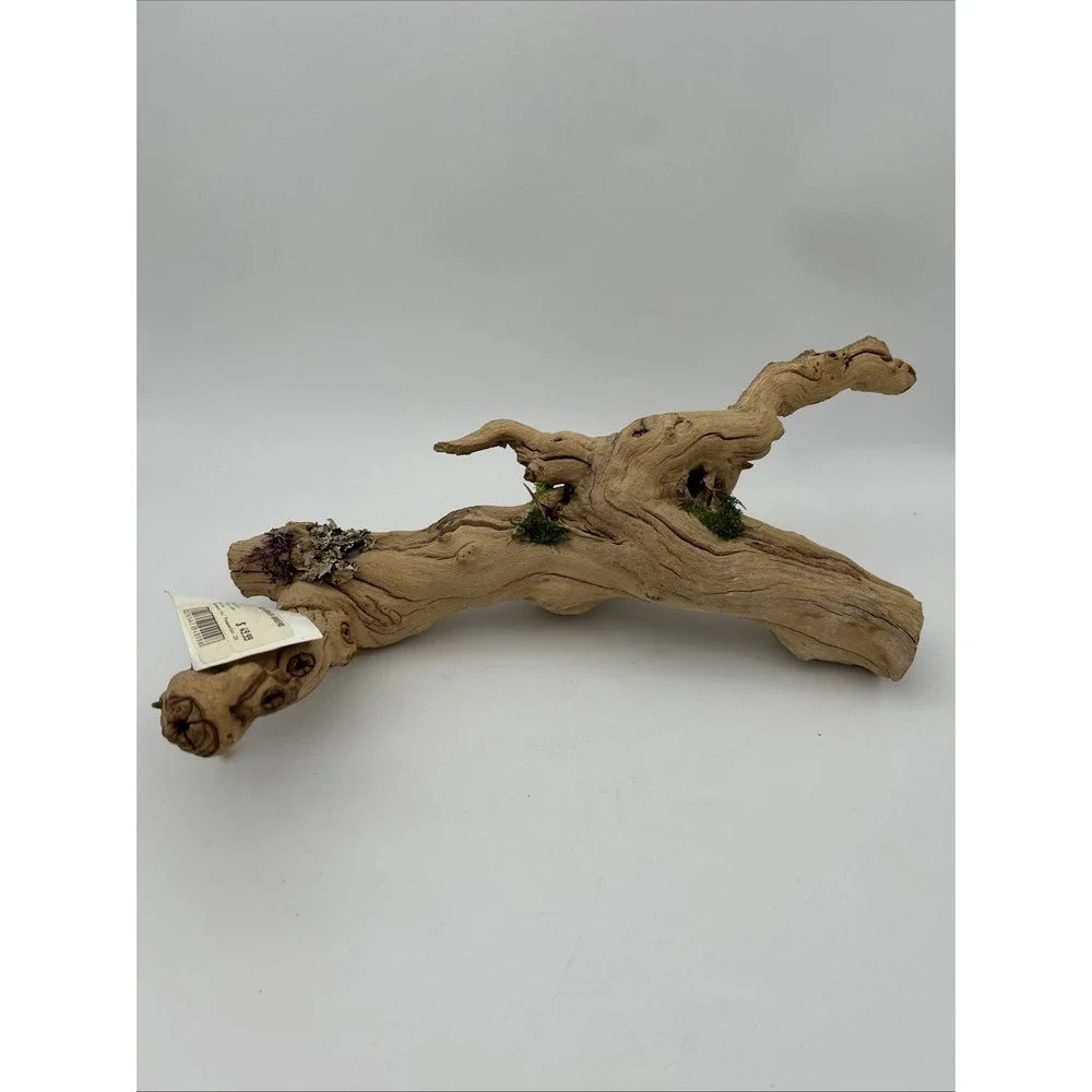 Nature Scapes Grapewood reptiles Or Airplants‎ 14x6 natural stump decor